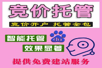 SEM广告投放中的数据监控与调整策略——以某品牌营销案例为例
