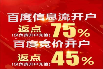 搜索引擎营销（SEM）成功案例详解